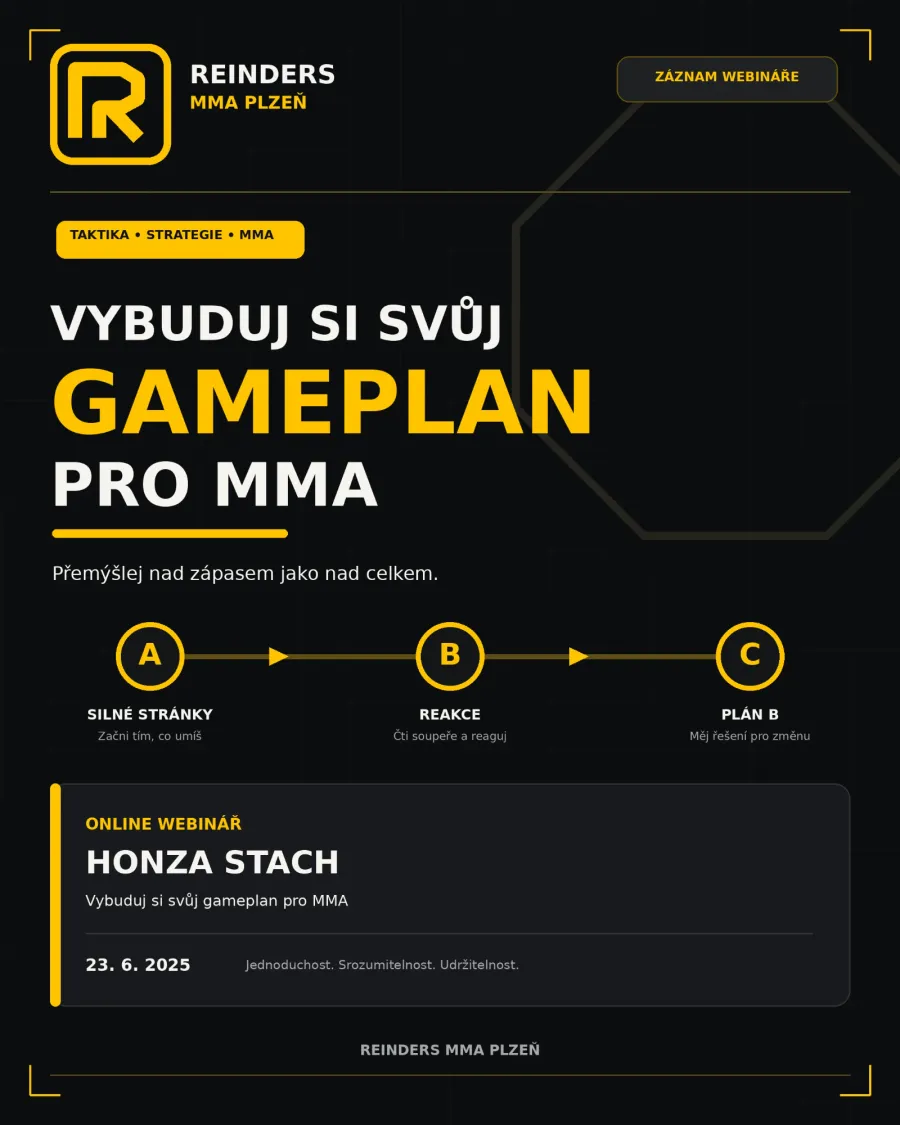 Online webinář „Vybuduj si svůj gameplan pro MMA“ s Honzou Stachem